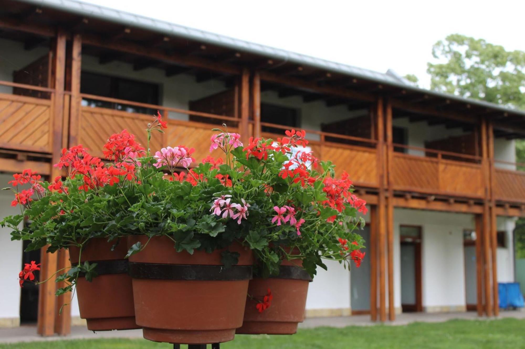 Balatonfůzfő Foeveny Apartmanok מראה חיצוני תמונה